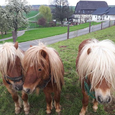 Ferienhof Papiermuehle Hofgeismar Exteriör bild